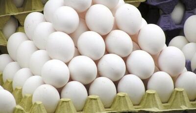 مرغداران با دپوی تخم مرغ در واحد‌ها رو‌به‌رو هستند
