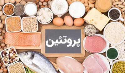برای کاهش وزن کدام پروتئین مناسب است ؛ حیوانی یا گیاهی ؟