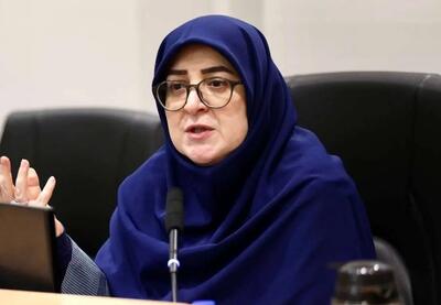 سخنگوی دولت درباره اعتراضات کامیون‌داران: براساس اعلام وزارت نفت، چنانچه کامیون‌داران در مسیری که برای آن بارنامه الکترونیکی صادر شده حرکت کنند، هیچگونه تغییر قیمتی در سوخت مصرفی آنها اعمال نخواهد شد / همچنین انتقال باری که دارای بارنامه الکترونیکی باشد را مجاز می دانیم