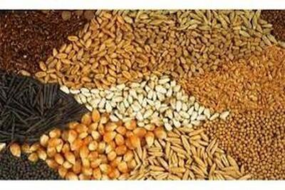 تخصیص و تأمین ۷ هزار تن نهاده دامی برای تولیدکنندگان فارس