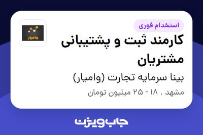 استخدام کارمند ثبت و پشتیبانی مشتریان در بینا سرمایه تجارت (وامیار)
