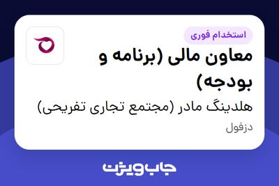 استخدام معاون مالی (برنامه و بودجه) در هلدینگ مادر (مجتمع تجاری تفریحی)