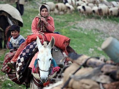 عشایر کشور صاحب ۲ کد پستی می‌شوند/ هر چادر عشایری یک فرصت گردشگری خواهد شد