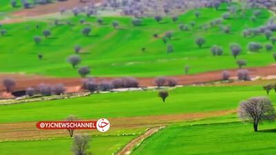 سفر به آبشار بیشه؛ تماشای زیبایی‌های جادویی / فیلم