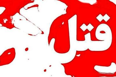 مقتول می‌خواست چک هایم را اجرا بگذارد