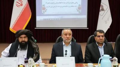 والی فراه: ظرفیت لازم برای سرمایه‌گذاری در افغانستان فراهم است