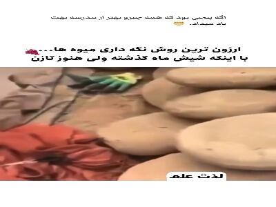کانجینا، ارزان ترین روش نگهداری طولانی مدت انگور