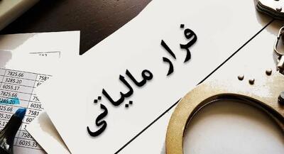 سلامت سیستم مالیاتی کشور از طریق حسابرسی سیستمی