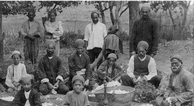 نوغان‌داری در دوران قاجار (عکس)