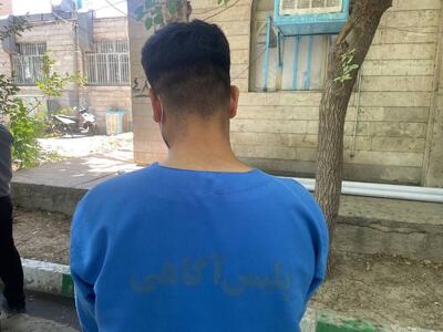 گریه‌های سارق بی رحم پس از دستگیری / دستان زن تهرانی در صحنه سرقت شکست + فیلم گفت‌و‌گو
