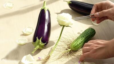 روش طبیعی برای ریشه دار کردن و تکثیر گل رز چیده شده