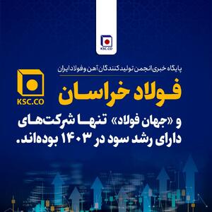 «فولاد خراسان» یکی از ۲ شرکت‌‌ دارای رشد سود در ۱۴۰۳