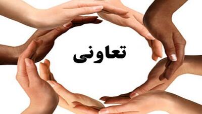 انجام ۴۵ درصد از فعالیت های کشاورزی از طریق تعاونی ها