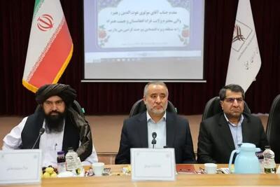 والی فراه: ظرفیت لازم برای سرمایه‌گذاری در افغانستان فراهم است
