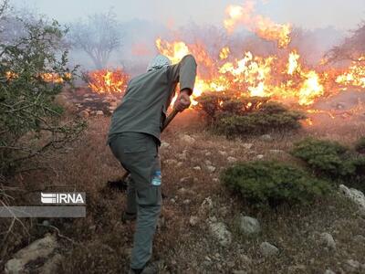 ۶۱۷ هزار هکتار جنگل‌ و مرتع لرستان نقاط بحرانی آتش‌سوزی است