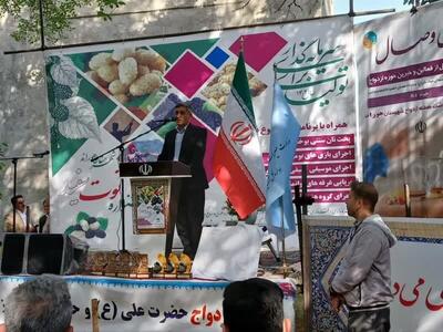 آذربایجان شرقی با تولید یک هزار و ۳۰۰ تن توت، قطب اصلی توت درختی در کشور است