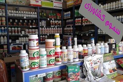 کاهش چشمگیر مصرف سموم کشاورزی، قدمی موثر در پیشگیری از سرطان
