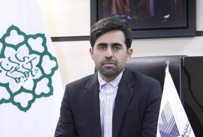 رونمایی از اپلیکیشن مسیریاب پایتخت در نیمه دوم سال/ اعلام جای پارک خالی به رانندگان