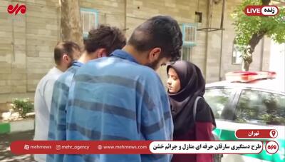 اعترافات سارقان خشن تلفن همراه از نحوه سرقت