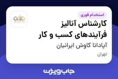 استخدام کارشناس آنالیز فرآیندهای کسب و کار - آقا در آپادانا کاوش ایرانیان