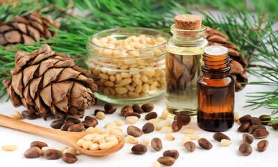 ۷ دلیلی که باید از روغن چوب سدر استفاده کنید!