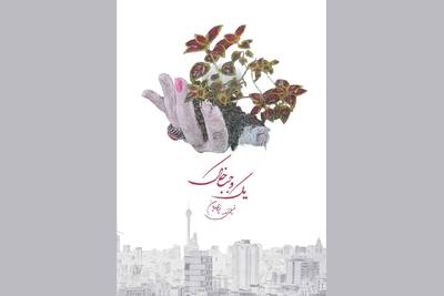 «یک وجب خاک» به بخش مسابقه جشنواره شانگهای راه پیدا کرد