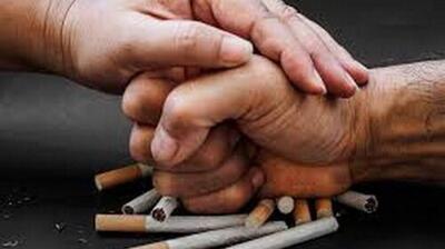 میگنا - اجتماعی شدن مبارزه با دخانیات