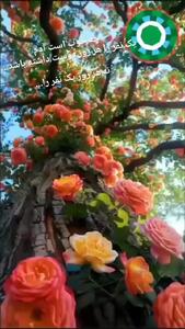 جملات مثبت و انگیزشی امروز + فیلم