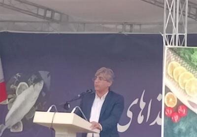 جشنواره طبخ آبزیان و غذاهای دریایی در نیر برگزار شد - تسنیم