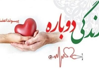 روایتی از پرواز نوجوانی که با مرگ، زندگی آفرید- فیلم فیلم استان تسنیم | Tasnim