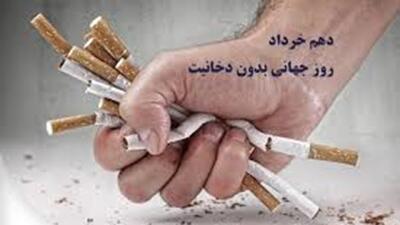 فیلتر سیگار؛ زباله‌ای کوچک با تهدیدی بزرگ+ فیلم