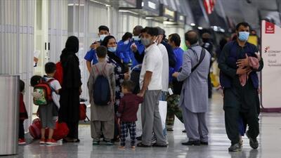 تعطیلی نهاد اسکان مهاجرین افغانستانی در آمریکا