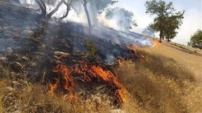 ۳۰ مورد آتش سوزی در مزارع کشاورزی ایلام ثبت شد