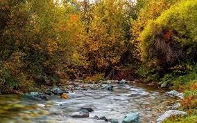 طبیعت زیبای روستای شهرستانک