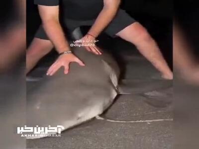نزدیک بود انگشتشو از دست بده!