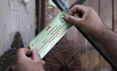۹ کشتارگاه غیرمجاز در مشهد پلمب شد؛ هشدار جدی درباره شیوع تب کریمه کنگو