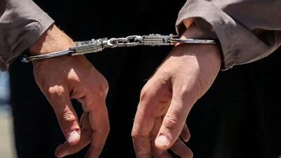 دستگیری قاچاقچی کبک در دهگلان/۲۰ قطعه کبک در خودرو کشف شد