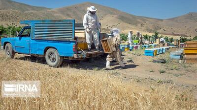 معاون استاندار: ۲۸ طرح درآمدزا برای دهیاری‌های کرمانشاه تصویب شد
