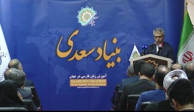 صحبت‌های آقای سخنگو درباره نقش زبان فارسی در گفت‌وگوهای دیپلماتیک