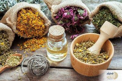 ماده غذایی‌ای که تمام ویتامین‌های C، K و B را یکجا به بدن می‌رساند