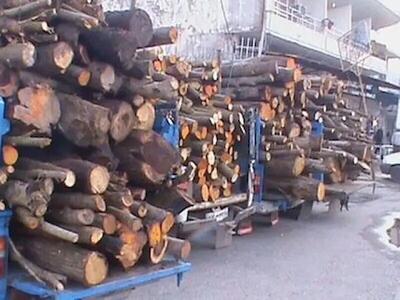 کشف ۲ تن چوب درختان جنگلی قاچاق در گچساران