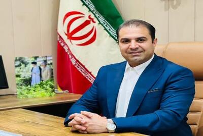 لزوم نظارت و ساماندهی پلتفرم‌ های فروش طلا | سیتنا