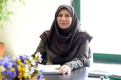 تحقق دولت هوشمند با افزایش خدمات الکترونیک سازمان فناوری اطلاعات | سیتنا