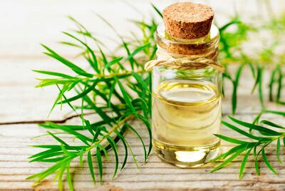 مضرات روغن زیتون تاریخ گذشته