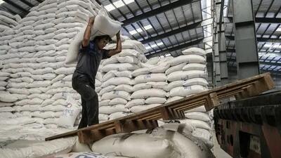 دستور توقف واردات برنج/ قیمت برنج هندی نجومی می‌شود؟