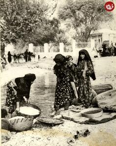 عکس/ برنج شستن زنان کرد ۱۲۰ سال پیش در رودخانه طاق بستان | اقتصاد24
