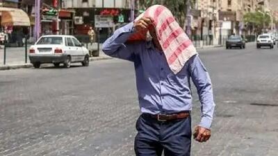 خوراکی شگفت‌انگیز برای تابستان: خداحافظ گرمای طاقت‌فرسا