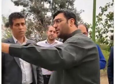 ببینید / شوخی حبیب کاشانی، عضو شورای شهر تهران با شهردارِ اینفلوئنسرِ منطقه ۱۵ تهران