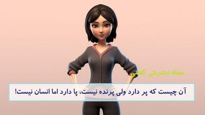 چیستان: آن چیست که پر دارد ولی پرنده نیست، پا دارد اما انسان نیست!