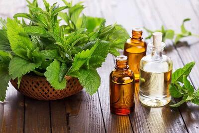 ۷ خواص روغن جوجوبا برای دور چشم